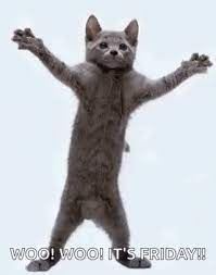 Crazy Cat Its Friday Gif Crazycat Itsfriday Discover Share Gifs Dancing Cat Gif Dancing Cat Crazy Cat Gif