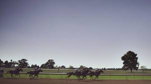 Lexington horse capital of the world. Here S Why Lexington Ky Is The Horse Capital Of The World Nbc Sports