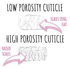 If you have low porosity hair, it means the structure of your hair doesn't easily. Hair Porosity Test Get Your Quick Results Bonus Quiz Love Curly Hair