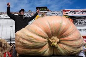 Image result for giant pumpkin