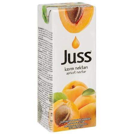 JUSS NEKTAR KAYISI MEYVE SUYU 200 ML