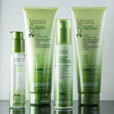 2chic Hair Products Shop Salon Quality 2chic Ultra Moist Giovanni Cosmetics Paraben Free Products Hydrate Hair