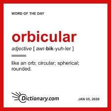 Orbicular Word Of The Day January 5 2020 In 2020 Uncommon Words Word Of The Day Words
