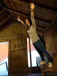 We look forward to seeing you soon! Life In The Linohana Santa Cruz Mystery Spot