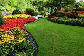 Pin On Gardening And Flowers