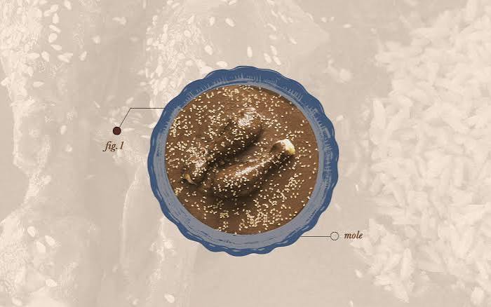 Forget Everything You Think You Know About Mole – Texas Monthly