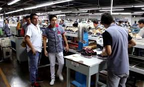 Trabajo trabajador fabrica tepic, nay. Fabrica De Calzado Puede Dejar 300 Trabajadores En La Calle