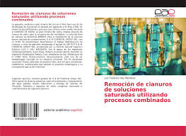 A azul de prusiac cianurocianuro de potasiocianuro de. Remocion De Cianuros De Soluciones Saturadas Utilizando Procesos Combinados 978 620 0 33870 9 6200338701 9786200338709 Por Luis Federico Hau Mendoza