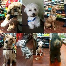 We serve all of brevard county. Natural Pet Specialty Shop 20 Photos Animalerie 2255 N Wickham Rd Melbourne Fl Etats Unis Numero De Telephone Yelp
