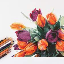 45 beautiful flower drawings and realistic color pencil Jennifer Morrison Art Is Creating Botanical Colored Pencil Drawing Tutorials Patreon Colored Pencil Artwork Art Drawings Beautiful Color Pencil Illustration