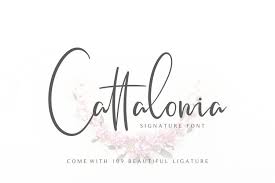 Looking for script alternate fonts? Cattalonia Signature Font 211034 Script Font Bundles
