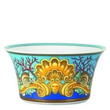 Medical examiner's certificate (for commercial driver medical certification) u.s. Versace Les Tresors De La Mer Salad Bowl Medium