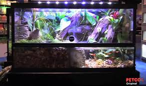 Tank Lyra531 S Sta Sh Animal Habitats Petco Aquarium