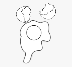 Eggshell Egg Yolk Egg White Yolk Clipart Black And White Hd Png Download Transparent Png Image Pngitem The pnghost database contains over 22 million free to download transparent png images. eggshell egg yolk egg white yolk