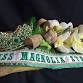 Sweet Pea Southern Charm Magnolia State Prelim event in Pelahatchie, MS