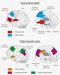 Neuroimaging techniques | Psychology of Language Class... | Fiveable