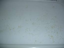 Check spelling or type a new query. Yellow Spots Diynot Forums