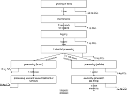 flow diagram of the hypothetical production system of wood