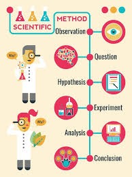 Illustration Of Scientific Method Infographic Timeline Chart Scientific Method Scientific Method Experiments Scientific Method Posters