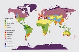 Ud Climas Y Paisajes Naturales Tipos De Clima Profesores De Historia Geografia
