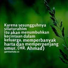 Kata kata bijak cinta kadang sering kita cari untuk mencari kata kata yang sesuai dengan perasaan kita. Kata Kata Bijak Untuk Silaturahmi
