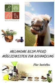 There are no critic reviews yet for stowaway. Melanome Beim Pferd Und Moglichkeiten Zur Behandlung Pferdepflege Pferd Pferde Pflege