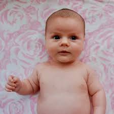 meatballs — jennifer rhode design