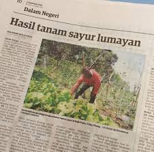 Namun hari ini, malaysiakini melaporkan dua akhbar di bawah syarikat itu iaitu utusan malaysia dan kosmo akan menghentikan operasinya bermula hari ini susulan daripada. Ambil Peluang Usaha Tanah Sendiri Ketika Pandemik Utusan Digital