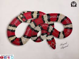 Maybe you would like to learn more about one of these? Mayank Agarwal Arts On Twitter Hyper Realistic Milk Snake Drawing Used Acrylic Colours Time Takes 9 Hours Watch Full Timelapse Video Https T Co Vqlhwwkmuq Mayank Agarwal Arts Snake Drawing Art Acrylicpainting Realistic 3ddrawing Artist