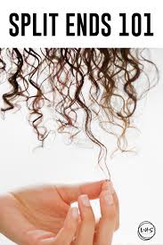 Split Ends 101 Everything You Need To Know About Split Ends So You Can Not Only Prevent Them But Know What To Do Lus Brands Curly Hair Styles Different Curls
