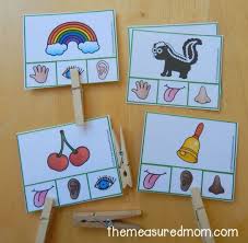 Free Five Senses Activity For Preschool And Kindergarten