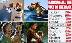 The jack russell terrier comes from england along with many popular names for the breed. Films Featuring Jack Russells Including The Secret Life Of Pets Have Raked In 700m Daily Mail Online