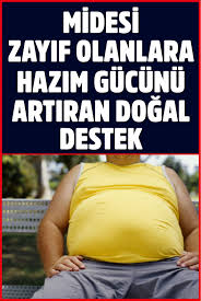 Sindirim Icin Midesi Zayif Olanlara Hazim Gucunu Artiran Dogal Destek Dogal Geleneksel Cin Tibbi Saglik