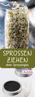 Sprossen Ziehen Ohne Sprossenglas Einfache Methode Kochtrotz Kreative Rezepte Rezept Sprossen Kochtrotz Sprossen Selber Ziehen