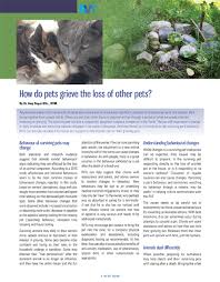 Grieving the loss of a pet cat after euthanasia. Pawsitive Resources Pet Loss Products