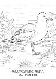 Utah State Bird Coloring Page And Other State Symbol Activities Animal Coloring Pages Bird Coloring Pages Beach Coloring Pages