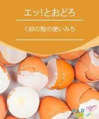 エッ とおどろく卵の殻の使いみち みんな健康 卵の殻 爪を強くする 健康