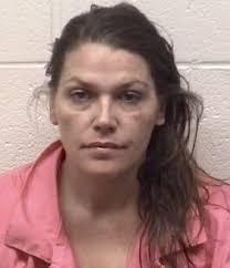 Two suspects nabbed after Elkton burglary