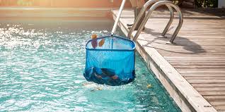 Quel robot de piscine choisir, alors ? Comment Choisir Son Robot Nettoyeur De Piscine Pentair Pool Europe