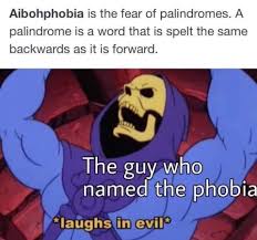 Writing About Writing Transcription Caption Aibohphobia Is The Fear Of Palindromes A Palindrome Is A Word That Is Spelt The Same Backwards