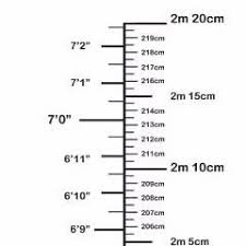 Scales Height Meters