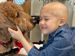 Fundraiser for Desaree Fowler by Valian Fowler : Tsaile's fight with Cancer