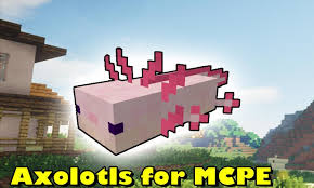 This axolotl minecraft mobs was remixed by liquid sand. Axolotls Mod For Minecraft Pe For Android Apk Download