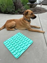 Silicone Dog Lick Mat