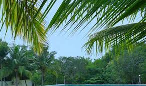 In the pages of history, indian heritage has significant contribution. Indien Hermitage A Resort 20kms Away From City Kanyakumari Price Reviews Photos Address