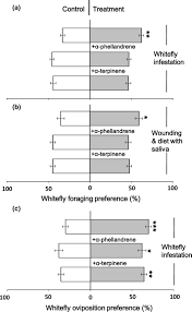 B bob kessler writes travel books about england and other european countries. Whitefly Aggregation On Tomato Is Mediated By Feeding Induced Changes In Plant Metabolites That Influence The Behaviour And Performance Of Conspecifics Su 2018 Functional Ecology Wiley Online Library