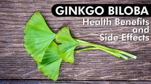 Now ginkgo biloba гинкго плюс 500 мг капсулы, 50 шт. Ginkgo Biloba Review Of Benefits Side Effects Youtube