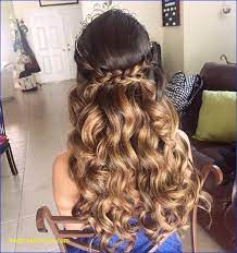 20 Absolutely Stunning Quinceanera Hairstyles With Crown Hair Styles Quince Hairstyles Quinceanera Hairstyles