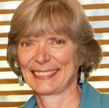 Mayors, scientists join Spotlight Tampa Bay's climate change panel