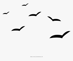 More than 14,000 coloring pages. Seagulls Coloring Page Desenho Gaivota Png Transparent Png Kindpng